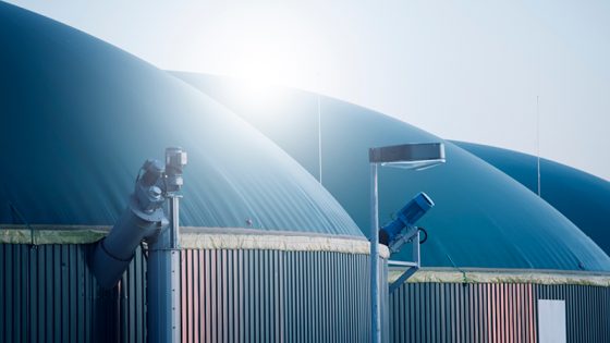 Dächer mehrerer Biogasanlagen